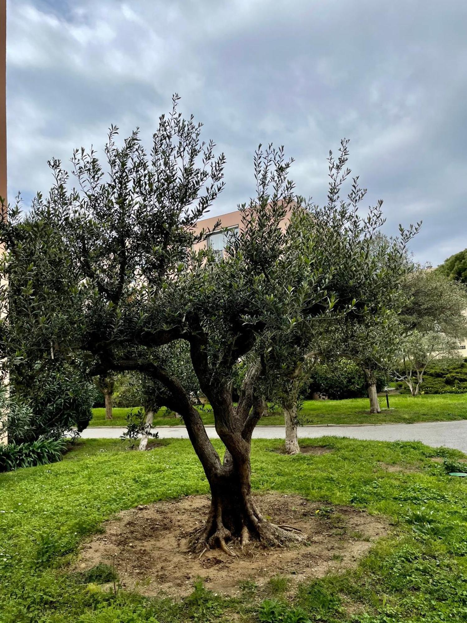 Tropez Appartement Saint-Tropez